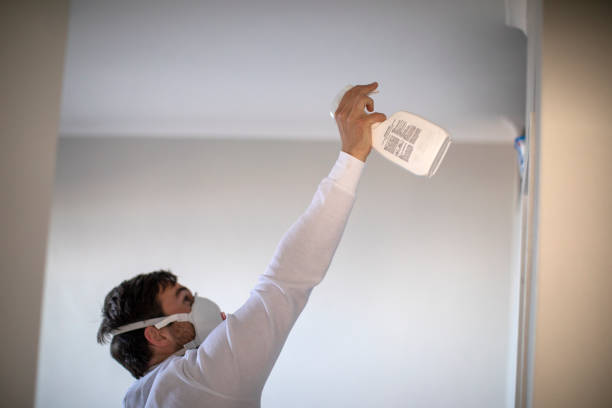 Best Residential Mold Remediation in Imperial, NE